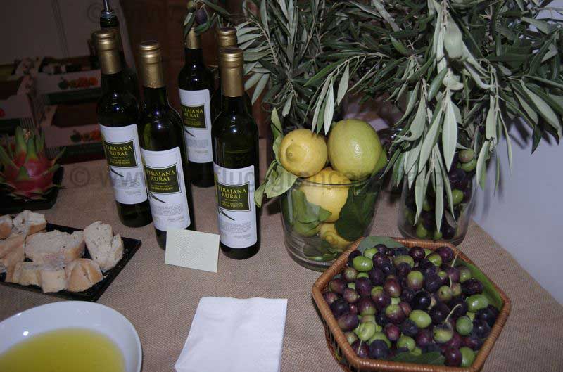 Probe Olivenöl aus Gran Canaria und Weissbrot