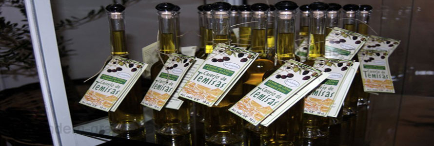 Das Olivenöl kann bei einem Ausflug probiert werden