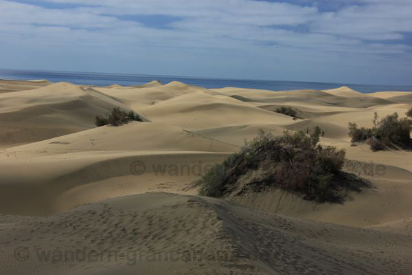Sanddünen im Süden von Gran Canaria