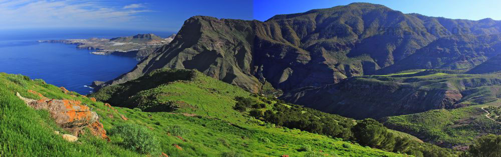 Grüne Wiesen im Westen von Gran Canaria im Winter im Gebiet von Tirma