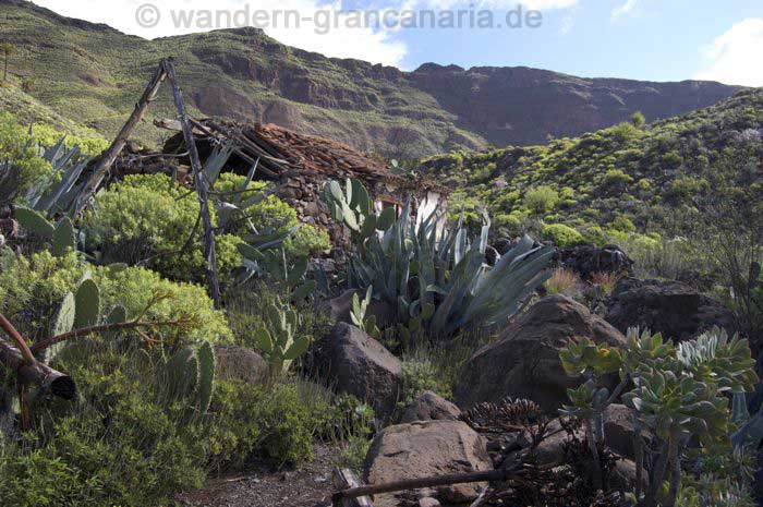 Altes verfallenes Bauernhaus im Südosten von Gran Canaria