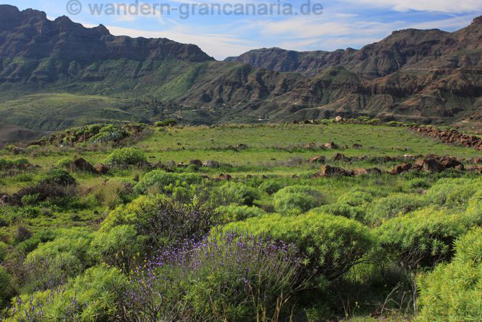 Green terraced fields between Santa Lucia and San Barolome