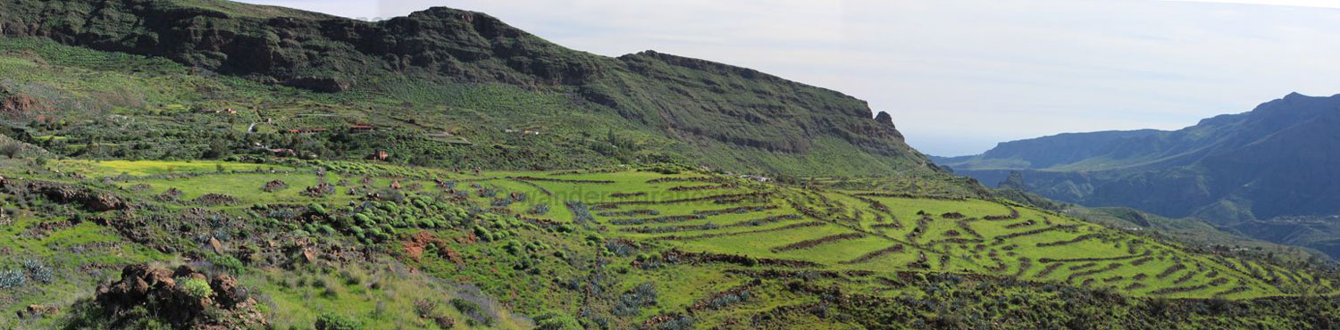 Panoramic photo of the terraced fields in winter in the southeast of Gran Canaria.