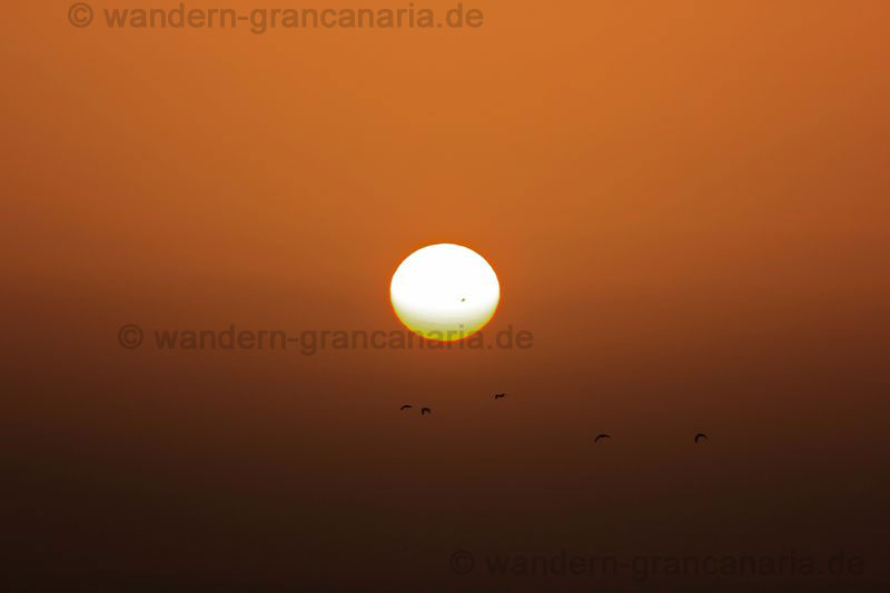 Sonnenfleck, Sonnenaufgang bei Hitzewelle auf Gran Canaria