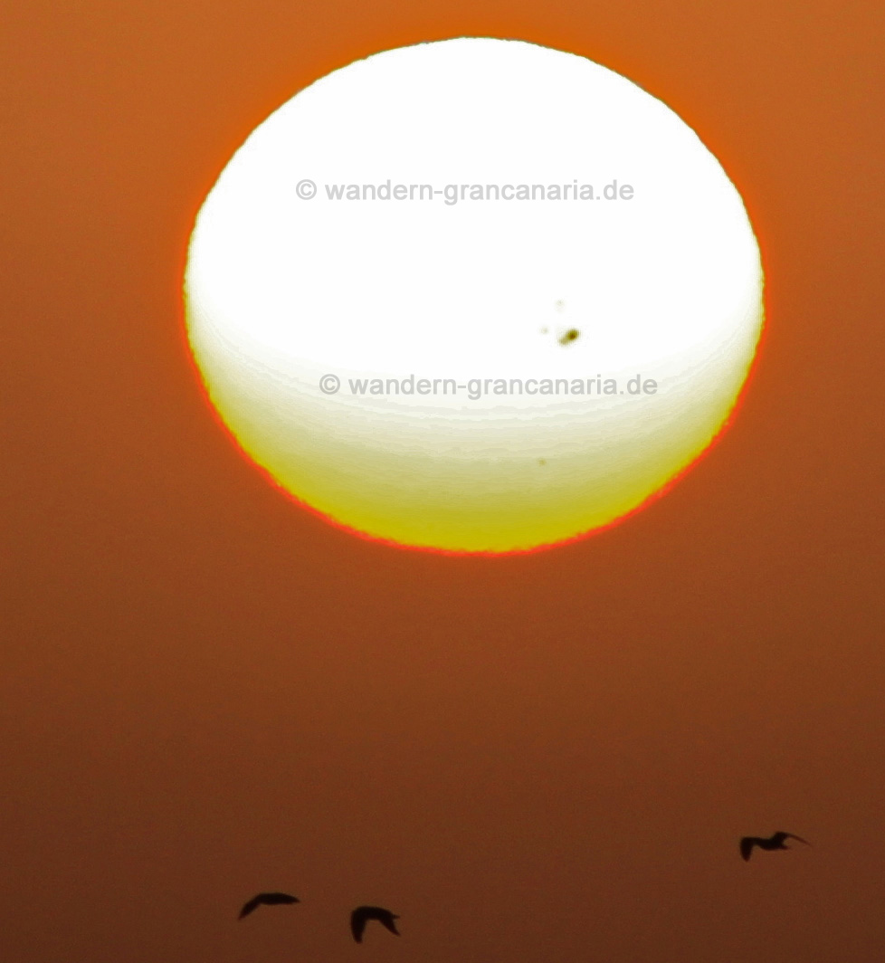 Sonnenfleck vom 22.10.2014 auf Gran Canaria aufgenommen