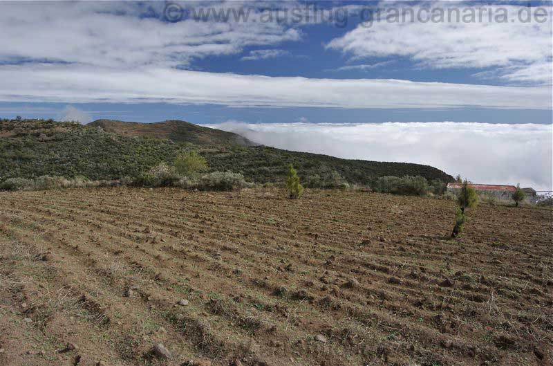 Ehemalige Felder im Südosten von Gran Canaria