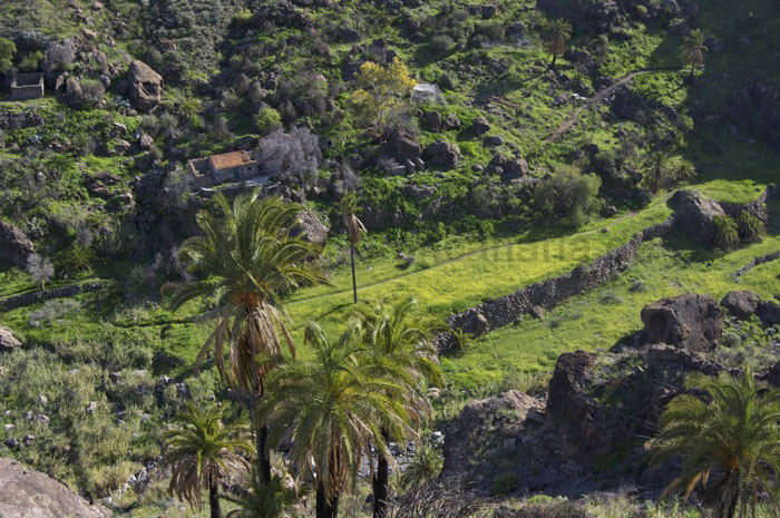 Verlassenen Häuser und Terrassenfelder auf Gran Canaria