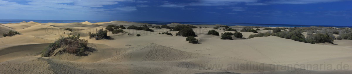 Sanddünen von Playa del Ingles