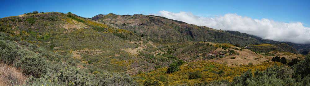 Sommerliche Region oberhalb von Las Lagunetas im Nordosten von Gran Canaria