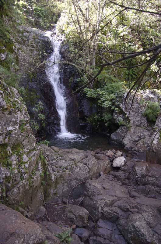 Wasserfall Mina, Gran Canaria