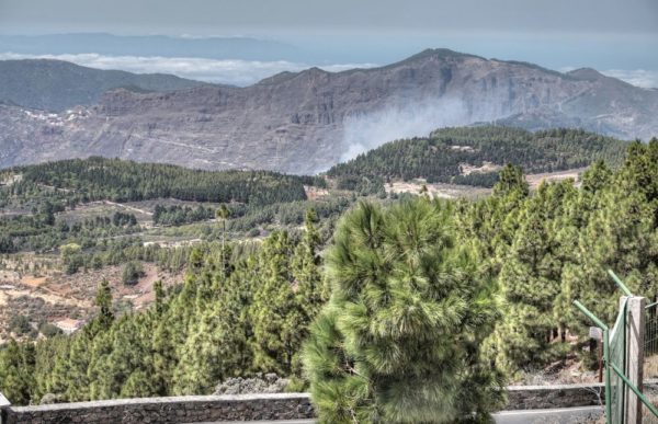 Blick vom Pico de las Nieves nach Norden beim Waldbrand von Gran Canaria 17