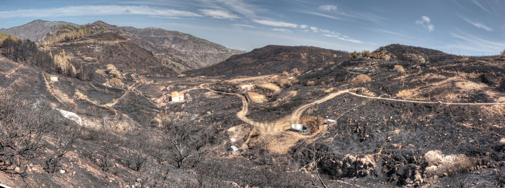 Bereich oberhalb vom Barranco de la Mino nach dem Brand auf Gran Canaria